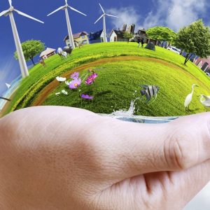 Hazardous Waste Management