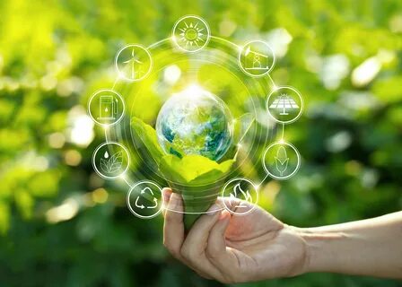 Sustainable Artificial Intelligence in Green Public Procurement: Paving the Way for a Greener Future | KE Leaders