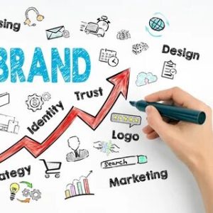 Professional Brand Manager Training