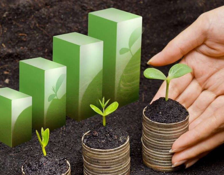 Lean Distribution – Implementing Lean in Distribution, Logistics, and Supply Chain Operations