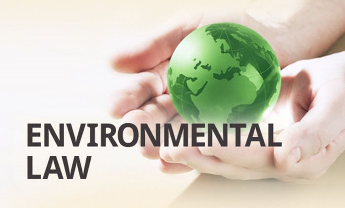 International Environmental Law and Governance - الصورة 2