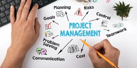 Procurement Strategy and Contract Management Essentials