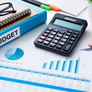 Sophisticated Budgeting and Cost Oversight