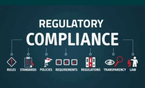 Risk Assessment and Regulatory Compliance in FinTech