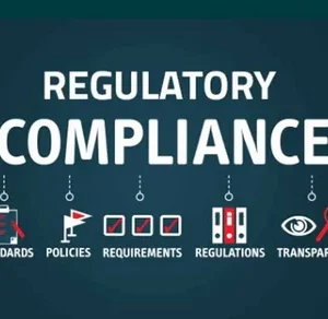 Risk Assessment and Regulatory Compliance in FinTech