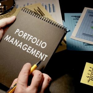 Strategic Program and Portfolio Governance