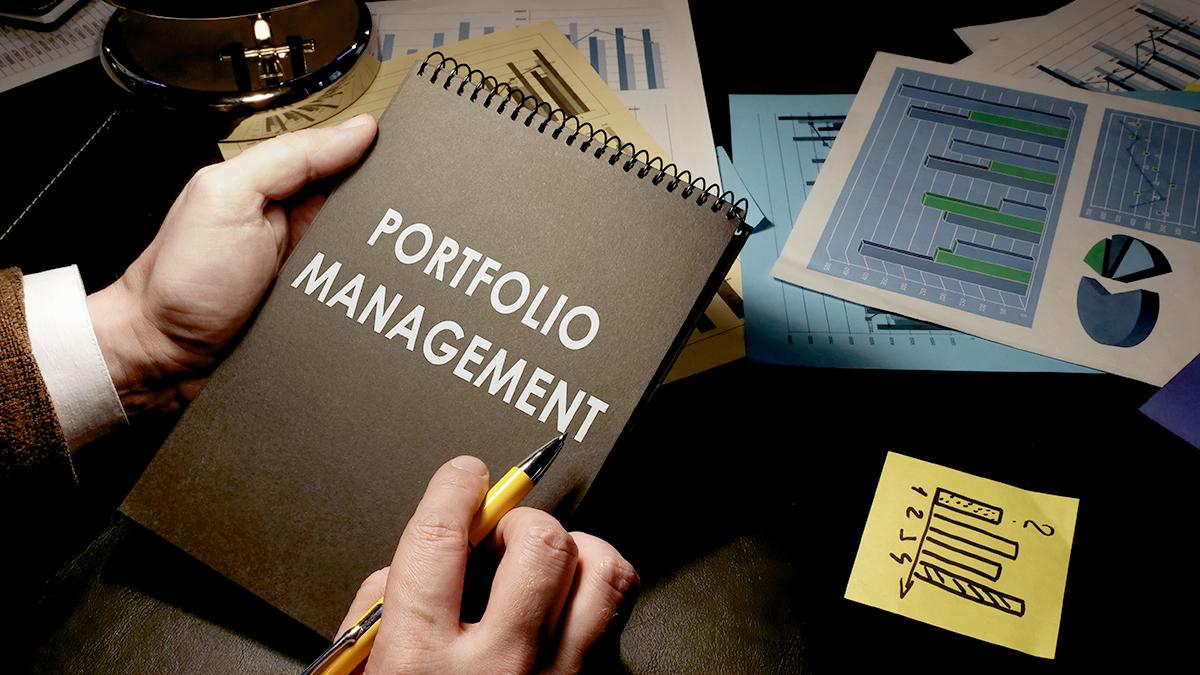 Strategic Program and Portfolio Governance