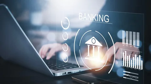 Digital Finance for Developing Economies